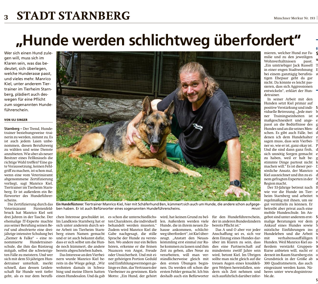 Merkur Award – Dogs in Trouble