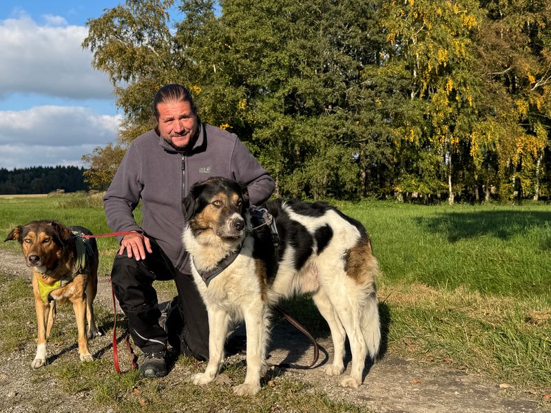 Manrico Kiel Hundetrainer